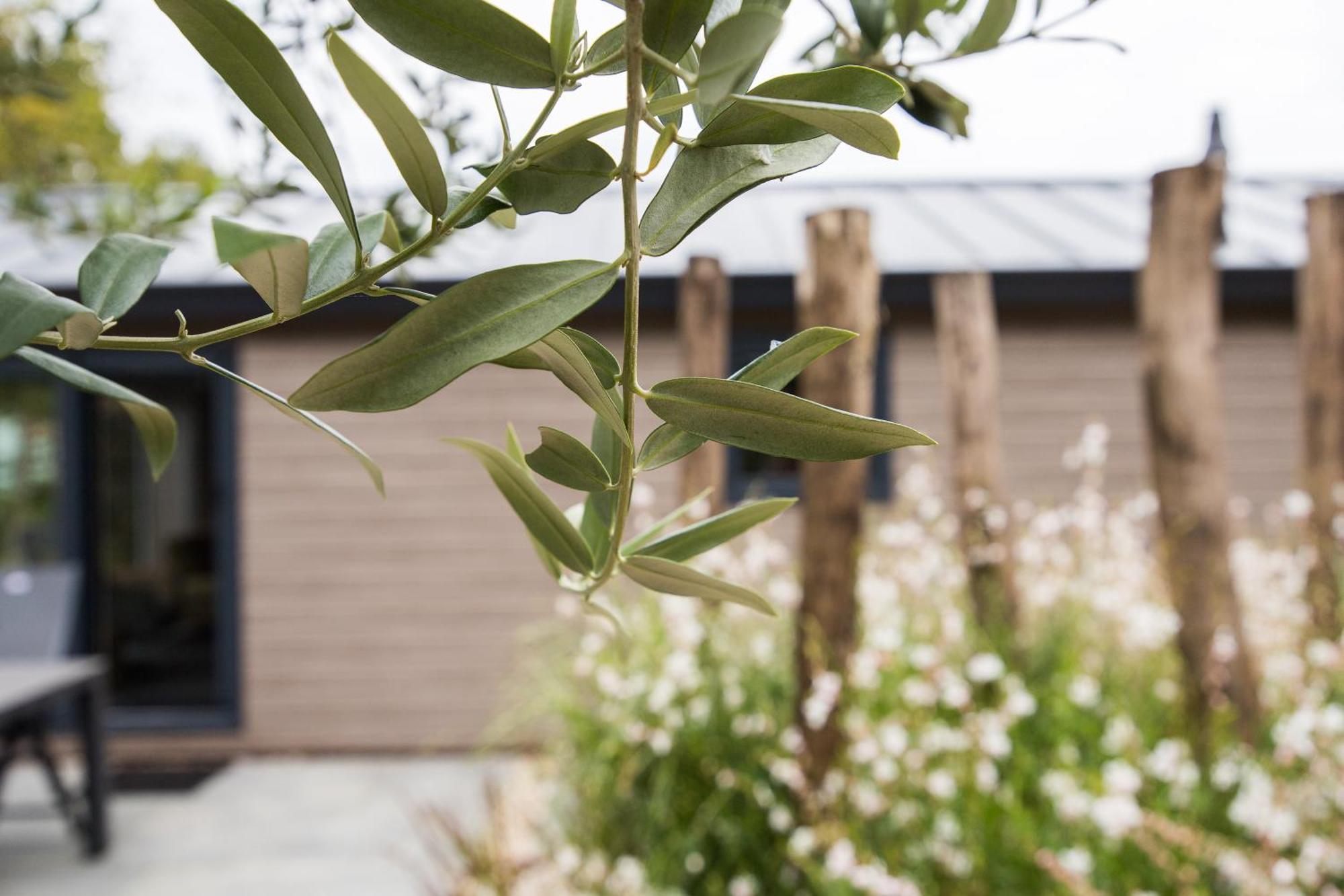 Modern Ingericht Chalet Op Groen Park Op De Veluwe Epe Exterior photo